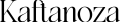WhatsApp_Image_2025-02-13_at_21.11.53-removebg-preview